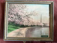 Full view of framed photograph showing subject and frame