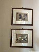 Both framed prints hanging; loon above, geese below