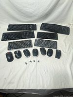 Top view of all keyboards, mice and USB dongles laid out