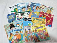 All sixteen books spread out to show titles and covers