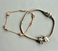 Both bracelets side by side showing overall lot contents