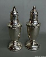 Front view of both weighted sterling shakers