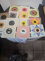 Group shot of all 13 records in sleeves laid out