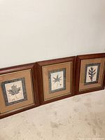 All three framed prints side by side