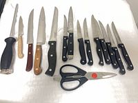 Full layout of 14 knives, honing steel and shears