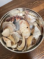 Top view of metal tin filled with assorted sea shells