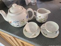 Entire tea set on countertop showing all pieces