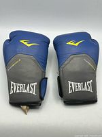 Top view of both gloves showing Everlast branding, color scheme and overall condition