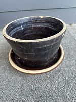 Pot resting in saucer showing overall appearance and colors