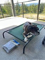 Dog lying on elevated green Coolaroo bed; packaged spare cover visible