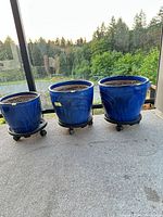 Three blue ceramic planters on wheeled caddies