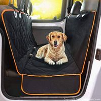 Cover installed across rear bench with dog sitting to show scale, orange trim visible