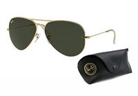 sunglasses angled with case