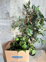 Tall faux floor plant next to box of smaller faux plants