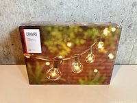 Front of sealed retail box showing Canvas Luna Globe String Lights packaging