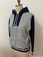 Front view of heather gray and navy Foot Locker quarter-zip hoodie on mannequin