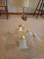 Whole chandelier with shades visible