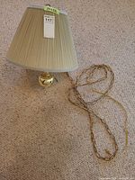 Entire lamp with chain, shade, and brass body visible