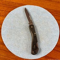 Knife fully open on felt pad showing entire item