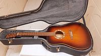 Guitar in open hard case showing interior lining and body