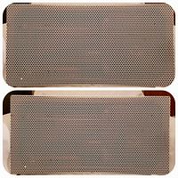 Two Extron FF 20 speakers front view showing perforated grilles