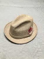 Front and top view of Midway herringbone fedora with feather