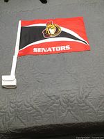 Front view of car flag displaying Senators logo and pole