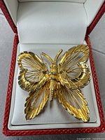 Front view of gold-tone butterfly brooch in display box