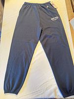 Full view of navy Champion sweatpants with tags attached