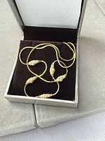 Necklace coiled inside presentation box showing chain and pearls