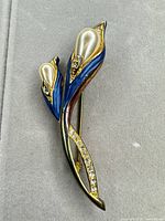 Full view of brooch showing overall design, colors and size