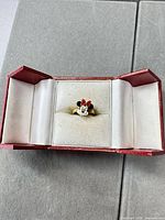 Ring in box, frontal view