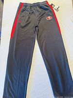 Full front view of track pants showing overall style and colors