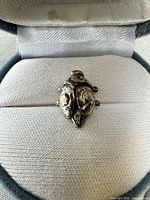 front view of small silver-tone insect brooch pin in jewelry box