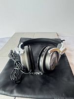 Headphones with cable and carry pouch overall view