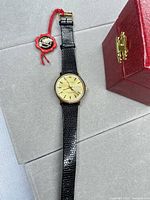 Full view of watch with strap and hang tag