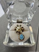 Brooch in display box showing overall design