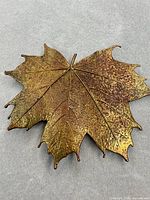 Front view showing full leaf shape and patina