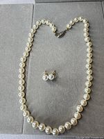 Full view of necklace and earrings set