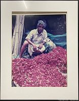 Front view showing framed photograph, mat, frame and subject details