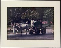 Framed photograph showing ox-drawn cart street scene, white mat, black frame