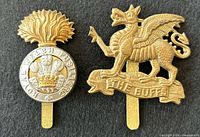 Front view of both cap badges on black background