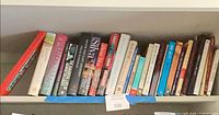 Upper shelf showing mix of hardcovers and paperbacks with titles such as The Fallen Angel