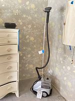 Full view of Rowenta standing garment steamer showing base unit, water tank, hose, pole and steam head
