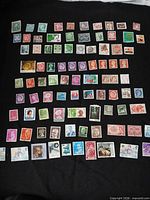 Overview of entire assortment laid out on black background