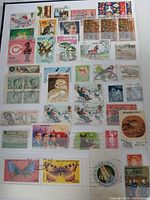 Page of album showing assorted colourful used international stamps mounted under clear strips
