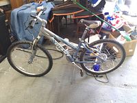 Full side view of Giant Boulder SE bike