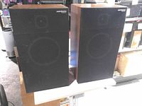 Front view of both Panasonic speakers with grills attached