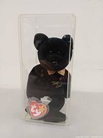 Front view of black Ty Beanie Baby The End bear in clear case with swing tag visible