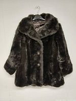 Front view showing coat, collar, buttons, overall colour and texture